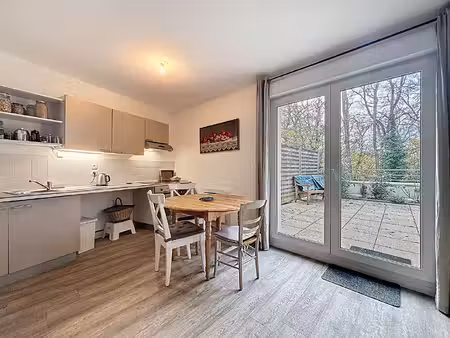 appartement t2 - grande terrasse - 2 parking