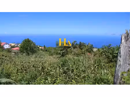 terrain les trois bassins 1376 m2