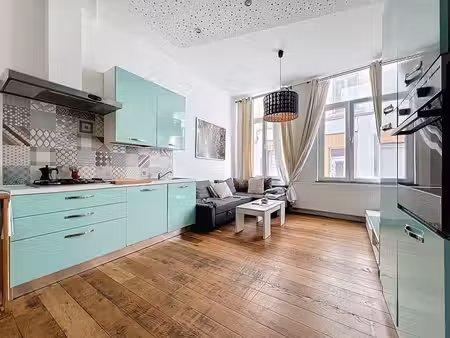 souplex de charme avec jardin privatif