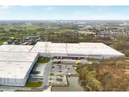 entrepôt logistique à louer à willebroek