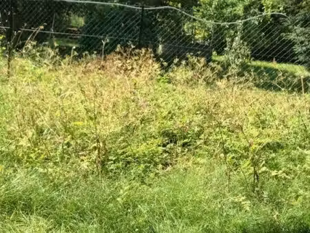 terrain constructible à vendre