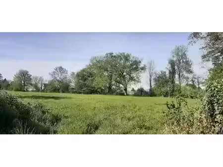 vente terrain 363 m² à savigné-l'evêque (72460)  56 500 €