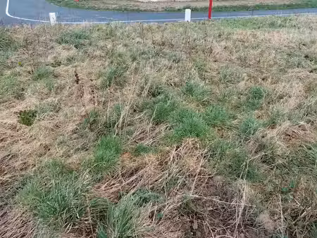 vente terrain 637 m² à sainte-marguerite-sur-fauville (76640)  58 600 €