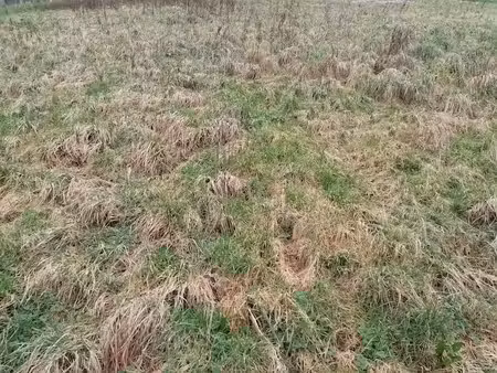 vente terrain 704 m² à sainte-marguerite-sur-fauville (76640)  63 000 €