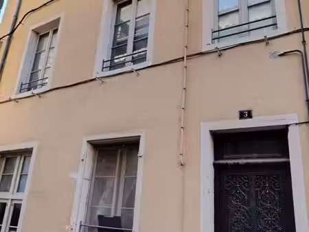 immeuble de rapport mono propriété de 162 m² habitable - 3 logements - 71700 tournus