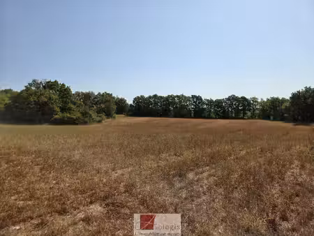 terrain agricole