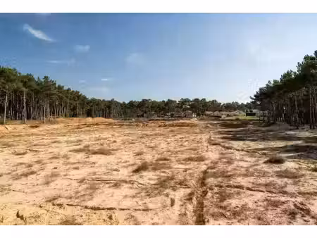 vente terrain 500 m² à izon (33450)  103 000 €