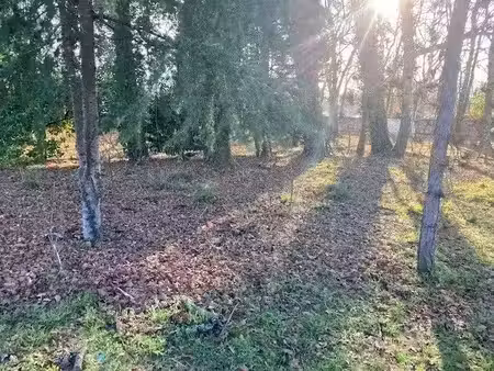 vente terrain 657 m² à saint-paul-lès-dax (40990)  132 000 €