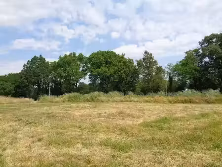 vente terrain 750 m² à pont-saint-martin (44860)  145 000 €