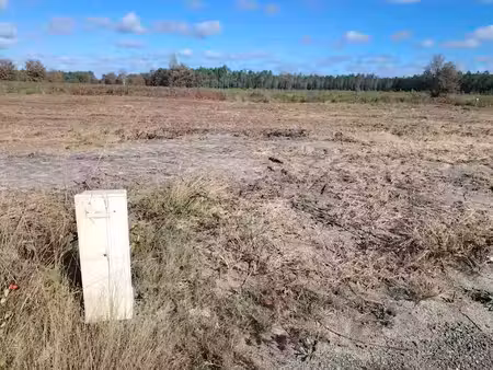 vente terrain 600 m² à mios (33380)  166 000 €