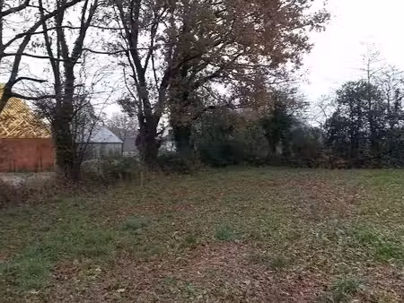 vente terrain 453 m² à vaux-sur-mer (17640)  319 000 €