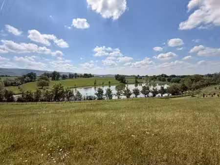 vente terrain 1604 m² à cahuzac (81540)  90 000 €