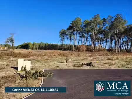 vente terrain 690 m² à pissos (40410)  94 000 €