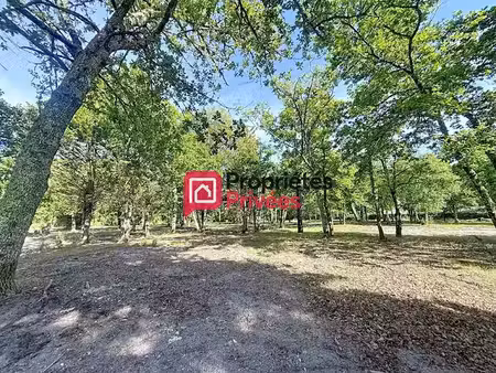 vente terrain 600 m² à hourtin (33990)  204 000 €
