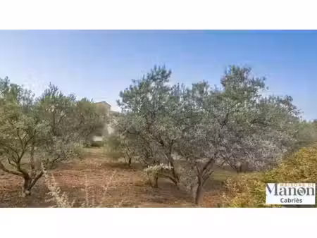 vente terrain 403 m² à pourrières (83910)  205 000 €