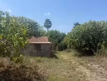vente terrain 517 m² à six-fours-les-plages (83140)  270 000 €