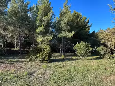 vente terrain à batir 674 m² à ollioules (83190)  255 000 €