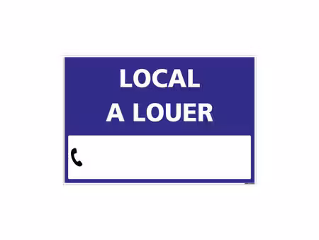 local commercial ou professionnel centre ville saint gilles