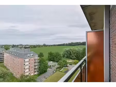app 1 chambre avec terrasse