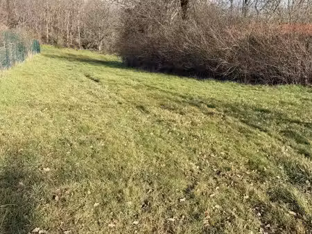 terrain