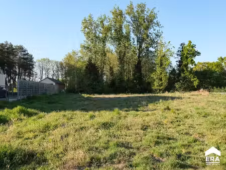 terrain à bâtir près du schulensmeer