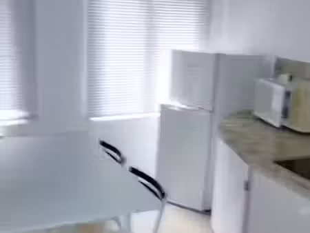 location appartement 1 pièce 22 m² à besançon (25000)  390 €