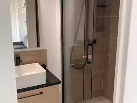 location meublée appartement 1 pièce 22 m² à bordeaux (33000)  550 €