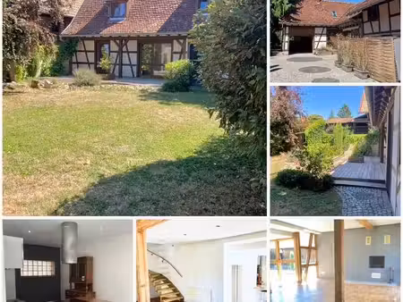 wingersheim les 4 bans - proch brumath