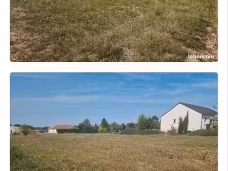 terrain constructible
