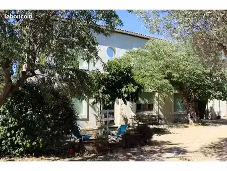 belle maison vigneronne 170 m2  8 pièces  dépendance attenante 180 m2  terrain 980 m2 avec