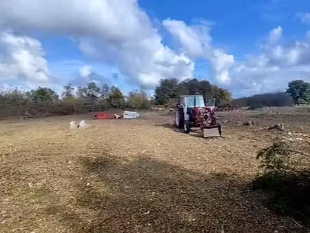 terrain constructible et viabilusé 1 7 hectares