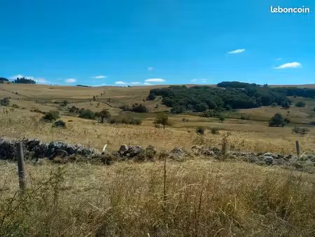 terrain et ruine