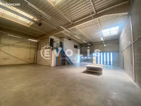 local d'activité 351 m²