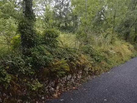 ancien terrain truffier sur le causse de savignac