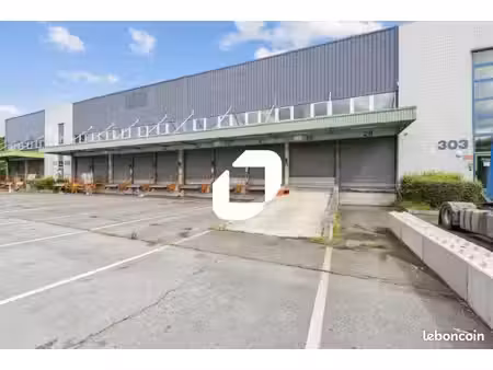 local industriel 11 369 m²