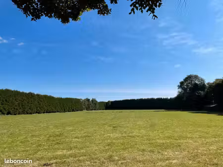 prairie pour chevaux