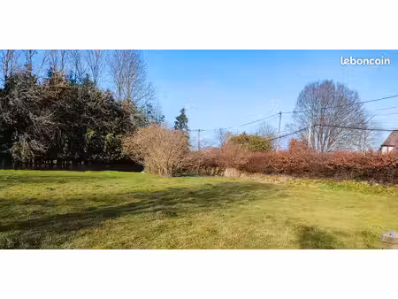 terrain constructible