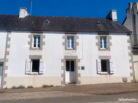 a vendre – maison pierres avec jardin – plomelin