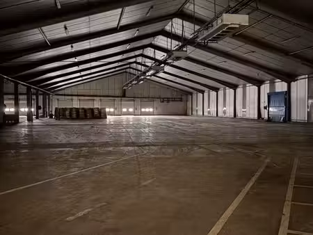 entrepôt 7000 m² saint pol de leon