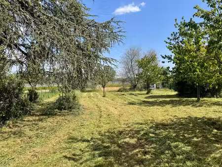 noé - terrain constructible de 559 m2