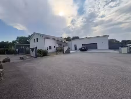 vente maison 8 pièces 280 m² dogneville (88000)