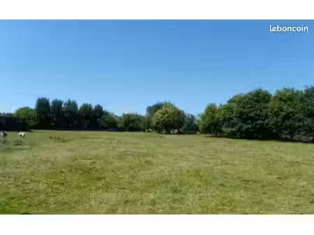 batiment + terrain