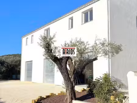 location local d’activités sollies pont 83210 178m²