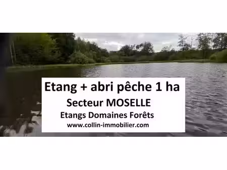 en vente terrain constructible 100 ares – 61 000 € |sarrebourg