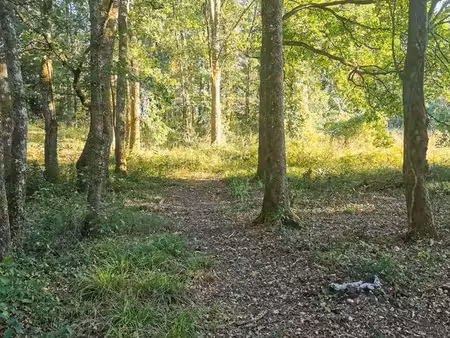 terrain d'agrément
