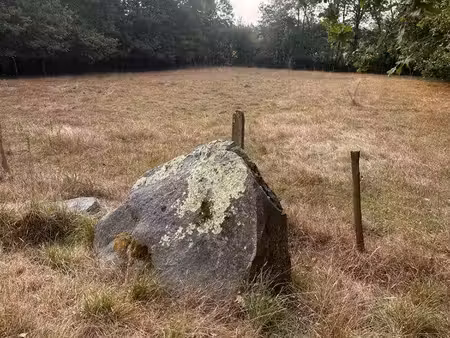terrain de loisirs