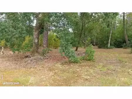 terrain 1 731 m² sainte helene