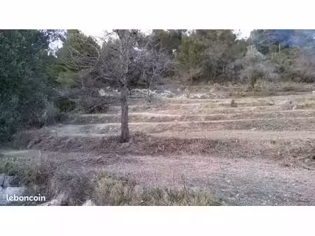 terrain de loisirs à louer