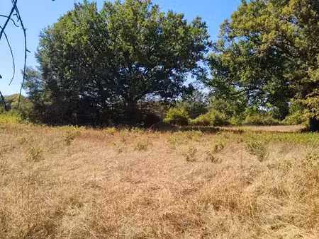 terrain 7500m2 pour chevaux