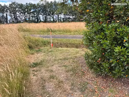 terrain 41380 m² erbray